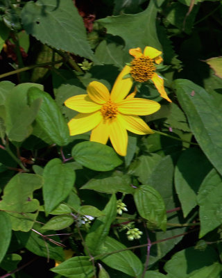IMG_0149.jpg