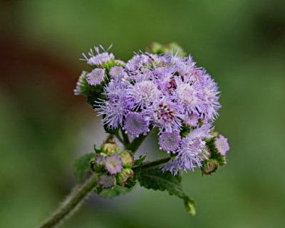 IMG_1590_edited-1.jpg