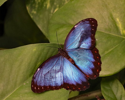 IMG_0283.jpg