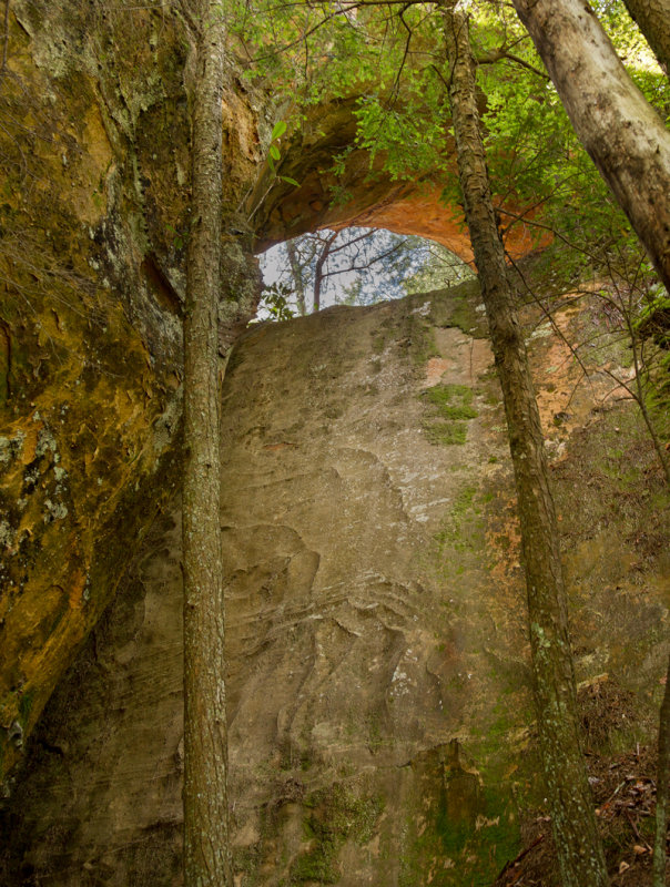 Indian Arch