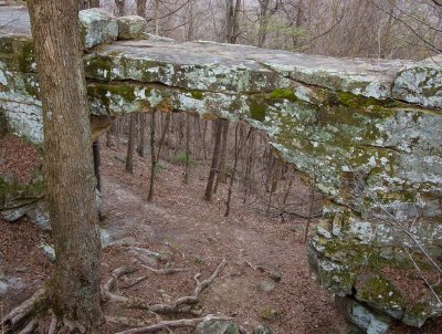 Sewanee Bridge