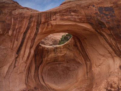 Bowtie Arch 