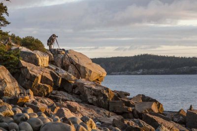 Otter Cliffs