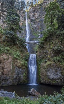 Multnomah Falls 