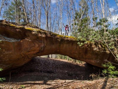 Bark Camp Arch