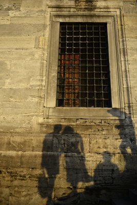 shadows 