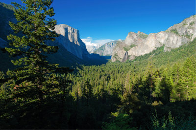 Tunnel View