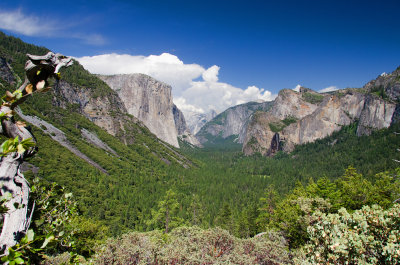 Inspiration Point