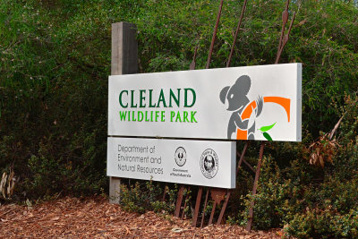 Cleland Park 2013