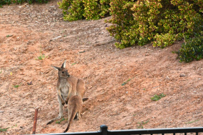 Kangaroo Island, South Australia 2014
