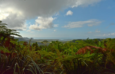 Walu Wugirriga Lookout - Cape Tribulation