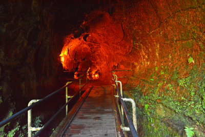 Thurston Lava Tube
