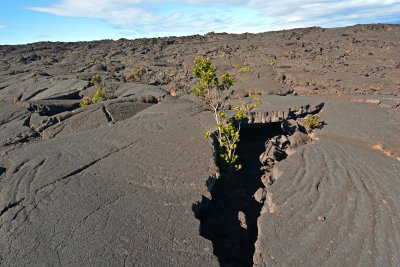 Mauna Ulu lava flow