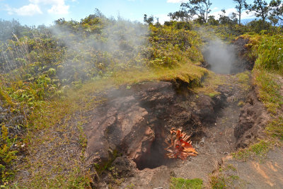 Steaming Bluff