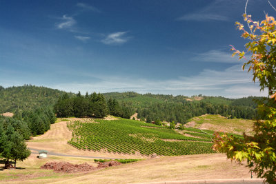South Willamette Valley