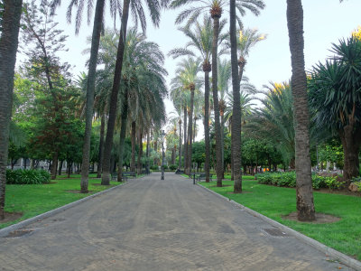 Along Ave. Conde De Vallellano