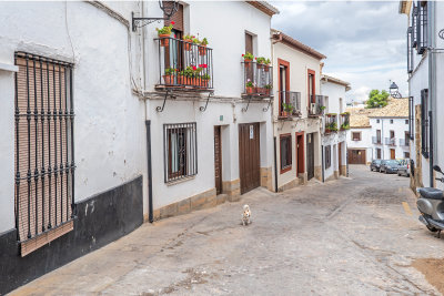 Baeza Streets