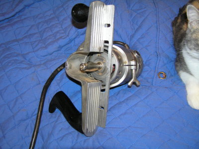 PB090187.JPG
