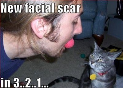 new-facial-scar-in-3-2-1.jpg