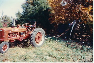 BCow2.jpg