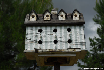 bird_house.jpg