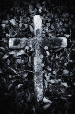 sanctus-34.jpg