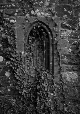 sanctus-37.jpg