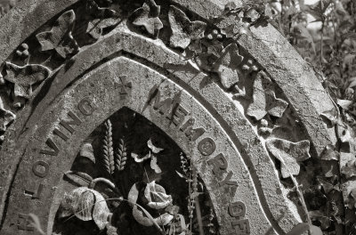 sanctus-39.jpg
