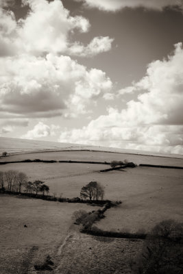 Broody Belstone, Easter hols