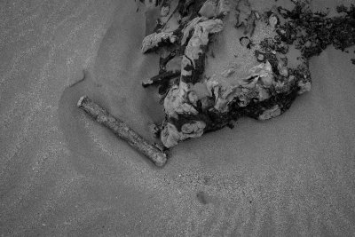 _DSF5717.jpg
