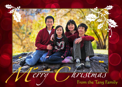 ChristmasCard2014_small2.jpg