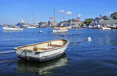 DSC_0181_small.jpg