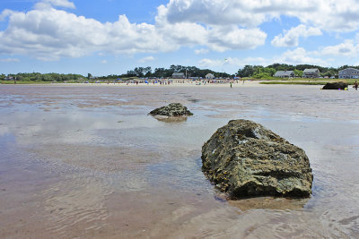 DSC_0223_small.jpg