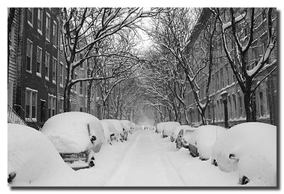 Snow_In_Brooklyn-wtang.jpg