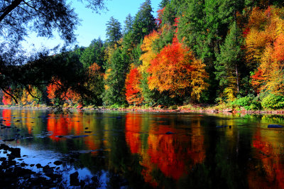 Cook's Forest, Pa in mid October