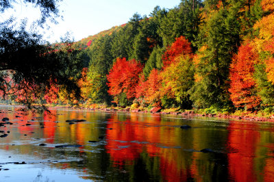 Cook's Forest, Pa in mid October