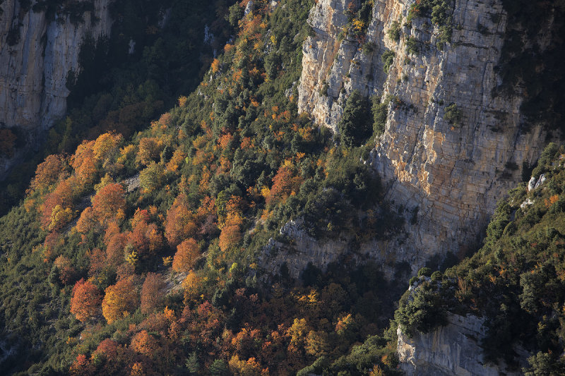 Verdon Gorge