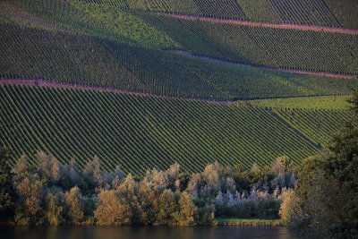 Mosel River