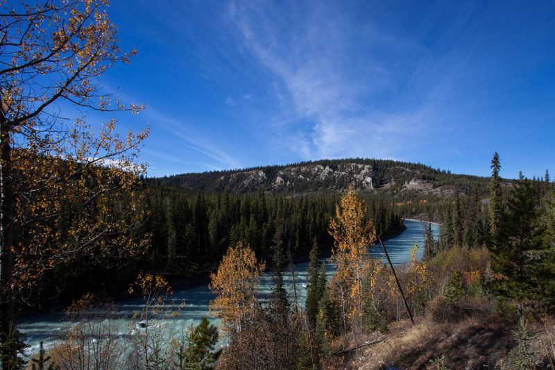 IMG_7561.jpg