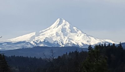 20160318_093549-1.jpg