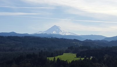 20160317_095915-1.jpg