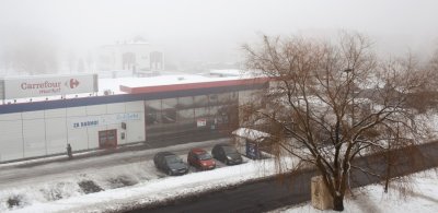 IMG_7874.jpg