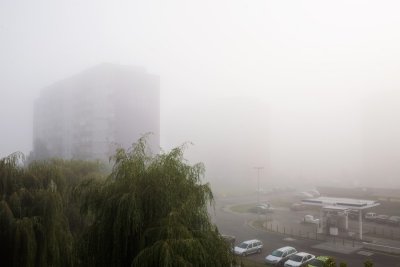 Fog in town