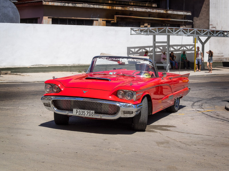 P4010088-Thunderbird.jpg