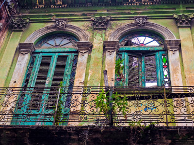 P3240131-Elegant-Decay.jpg