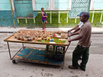 P3240013-Mamey-Fruit.jpg