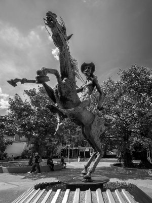 P3272160-Quijote-BW.jpg