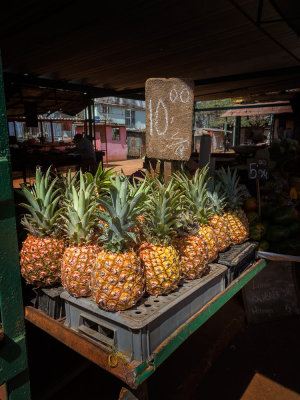 P3272208-Pineapples.jpg