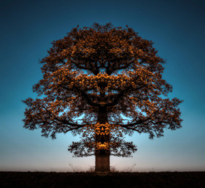 Lion-Tree.jpg