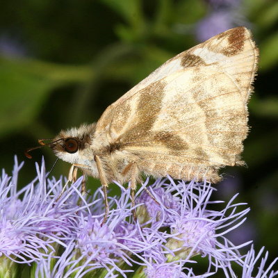 g9/24/845124/3/129860620.SPWhUTEj.jpg